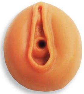 Porta caneta vagina