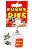 Dado funny dice brilha no escuro